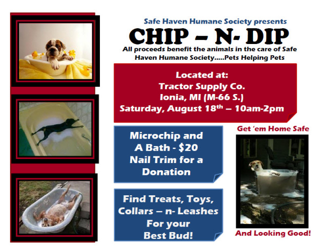 Tractor supply dog chipping sale